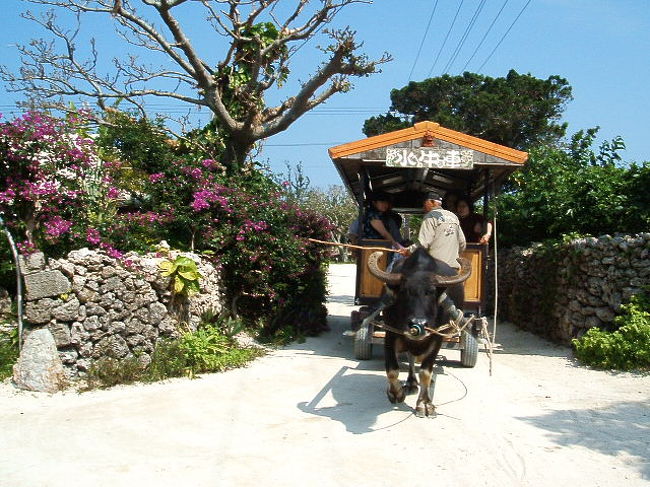 と思ってたら、水牛車のおじいの唄が聞こえてきたから、すぐ飛び出して１枚パチリ☆