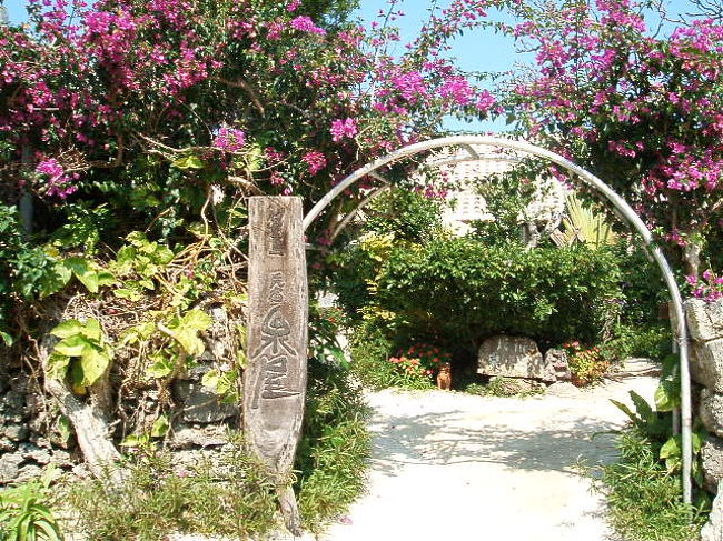 何度も何度も撮りたくなる、泉屋のアーチ。だってホント綺麗なんだも〜ん(笑)。