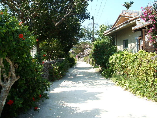 水牛車のコースにもなってる、泉屋前の道。ここをまっすぐ行くと、新田観光に着きます。