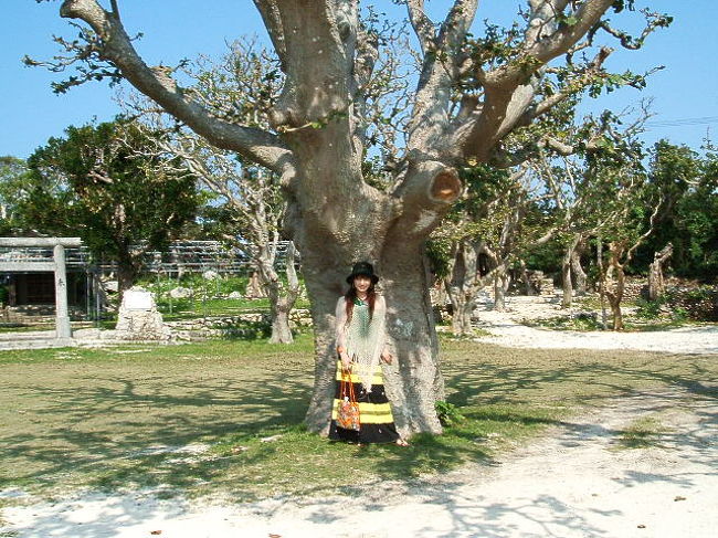 １人で歩いてた添乗員らしきお姉さんに撮ってもらいました♪でいごの木の下で(^-^)幸せが訪れますよーに(^人^)