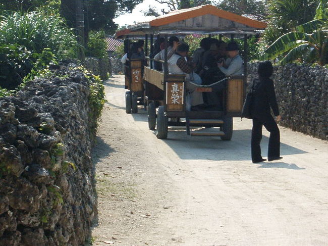 アタシの写真を撮ってくれた添乗員らしきおねーさんは、水牛車に乗ってる大量のお客さん達からも写真を頼まれて大忙し。偶然だけど、このおねーさんと、帰りの飛行機一緒で、なんかそーいう偶然もありな感じで嬉しかったな(^-^)