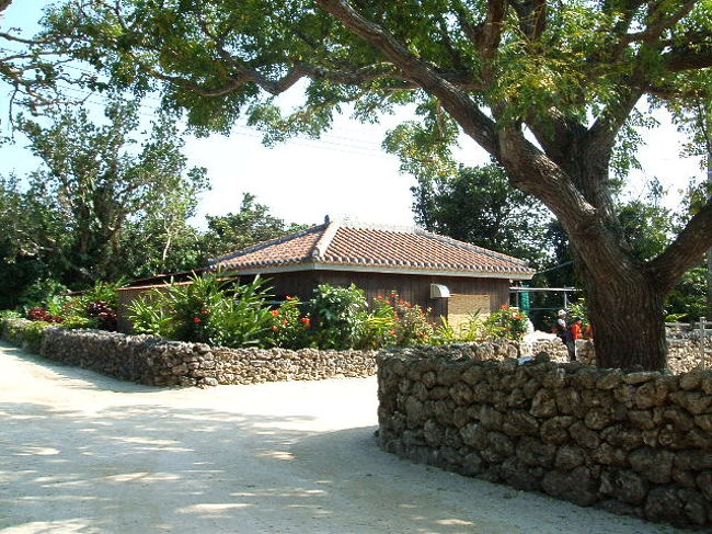 島の民家。さすが、「最も沖縄らしい町並み」と形容される島だけのことはあるよね。同じ日本とはいえ、激しくエキゾティックで素敵です。