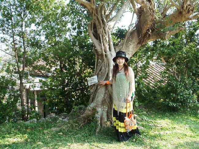 今日こそは上るぞー！と意気込んで、なごみの塔へ。そのふもとの、がじゅまるの木の下で(^-^)