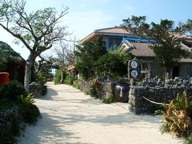 新田観光横の道。ここをまっすぐ行くと、昨日お昼に絶品車海老入り野菜そばを食べた「やらぼ」がある。