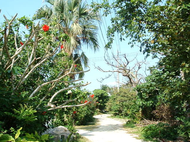 この道の先には何があるのかしら？？後で行こうと思って、すっかり忘れてた(汗)。