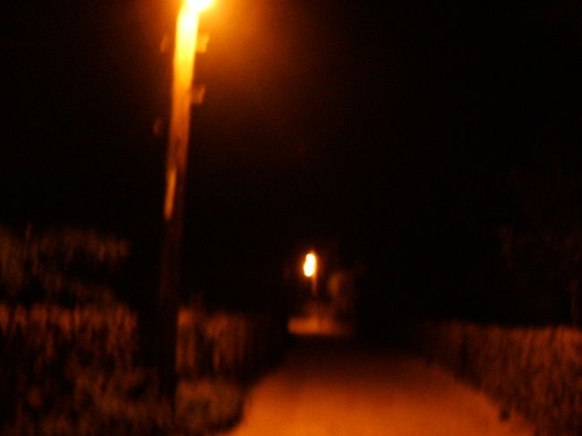 呑みに呑んだくれて、懐中電灯とビール片手に、みんなで西桟橋まで星を見に夜の散策へ。宿周辺は、こんな感じで電灯とかもあるけど、途中からマジ真っ暗で、ホント何も見えないくらいなの！何気に西桟橋手前って墓だし(笑)。ま、みんなで行けば怖くない♪