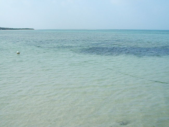 好きな時に起きて、お腹が空いたら島の幸を存分に使った美味しいご飯を食べ、何となく町を徘徊し、巡り巡る水牛車を見送り、風に乗って聞こえてくる三線の音をBGMにぼーっと虚無感を味わったり、好きな時に海に行って、砂浜や岩礁に寝っ転がっていつの間にか昼寝したり・・・。そんな日々も、今日で終わりなんだなーと思うと、本気でこのまま亡命してしまいたい衝動に駆られるアタシ(笑)。