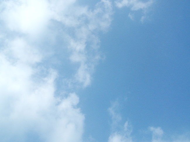 寝っ転がって上を見れば、青い空。東京とおんなじ青なのにね。
