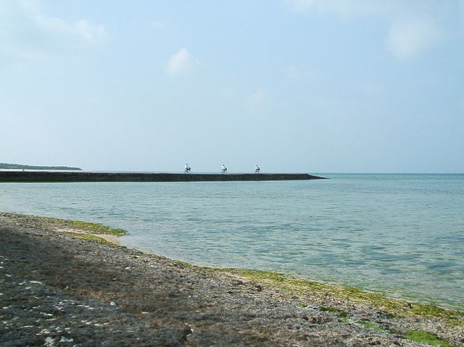 突然、ぎゃーぎゃーアップセットな声が、と思ったら、修学旅行生の男の子が三人、海に感嘆して奇声を発しながら、チャリで桟橋へ突撃(笑)。