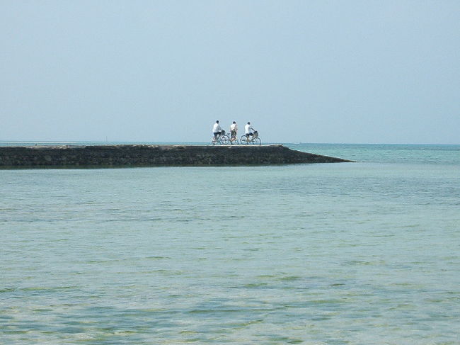 感動するよね。アタシもした(笑)。解る解る。しかし落ち着け(笑)。情緒もクソもないぞ、君たち(笑)。