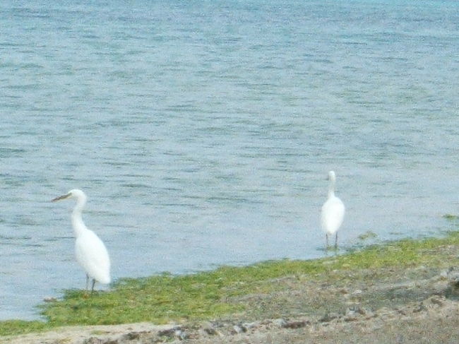 彼氏参戦(笑)。近っ！！