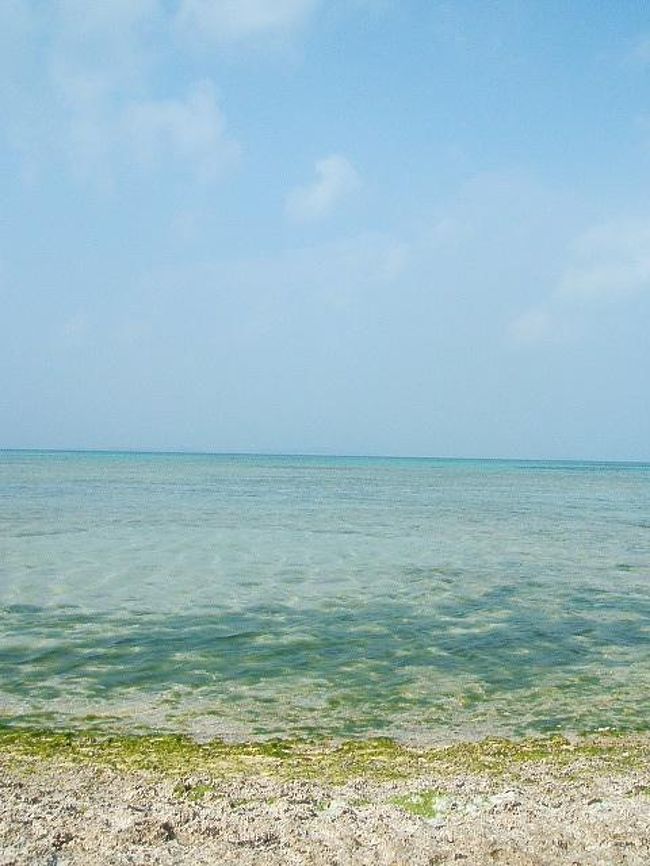 海に、島の自然に、動物達に、島ん人に、旅先でたまたま出会って関わった全ての人達に、ありがとうって気持ちでいっぱいです。東京で、また頑張れる。