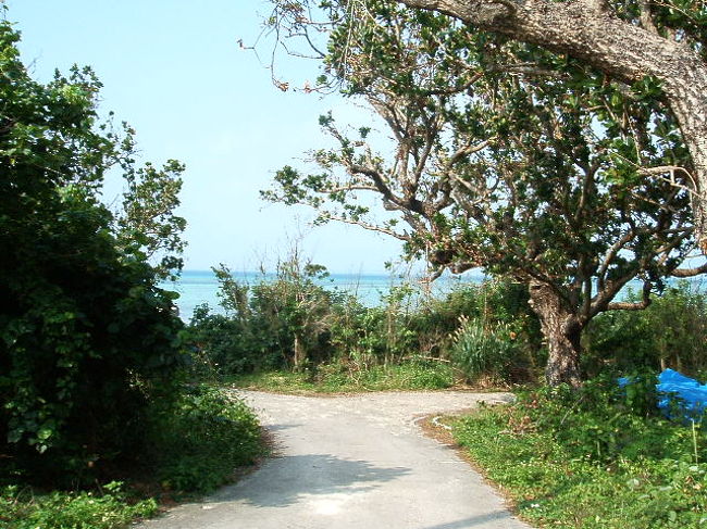 絶対また戻ってくるからね。ホントにありがとう。パワーをありがとう。