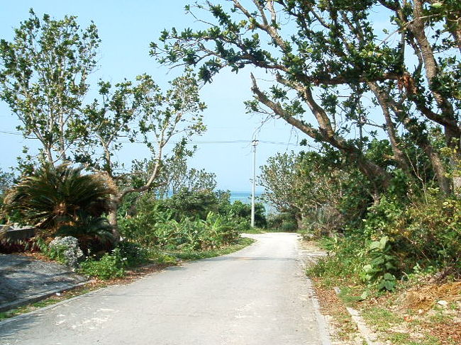 名残惜しい(涙)。いつまでも未練たらしく振り返って、立ち止まっては見つめてしまう(T_T)男には全然こんなことないのに(笑)。