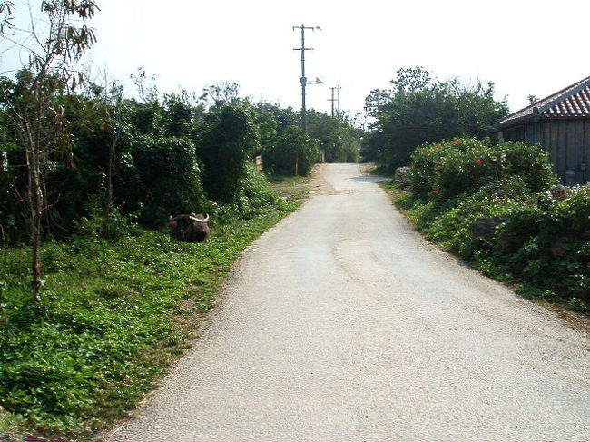 まだいるし(笑)。