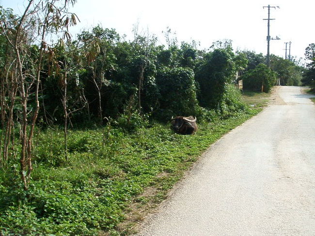 あんたも頑張んだよ。アタシも東京で頑張るp(^-^)q