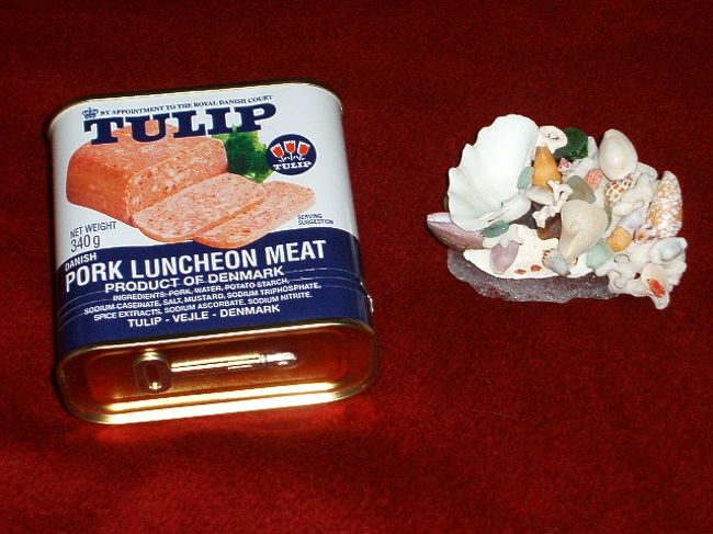 初日の夜、石垣の湖南のオーナーがお土産にくれたTULIPの缶詰と、Islandで一目惚れして買った、貝と琉球ガラスと珊瑚で出来た、オーナー手作りのピアス入れ。大切な島の想い出です(^-^)TULIPマジ美味い！！野菜炒めに入れたら萌え死にしそーになりました↑↑