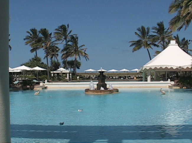 プールです。ゆったり過ごせます。