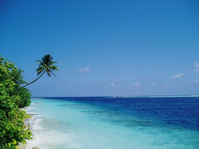 こんな綺麗な風景がお出迎えしてくれます。<br /><br />コテージにチェックインし、早速ダイビングの準備。<br /><br />チェックダイブを終え、いよいよファンダイビングです！