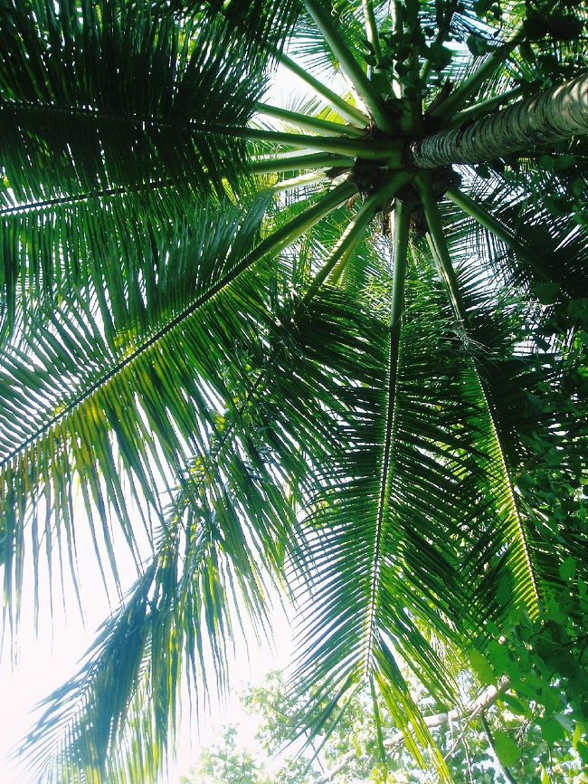 休憩中は日陰でひとやすみ。<br /><br />ゆったりとした雰囲気に<br />ついつい、うとうとしてしまいます。