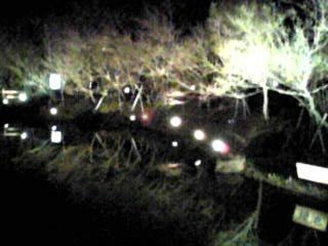 写真では判りにくいですが、ライトアップされた景色が池に写りこんでいます。<br />すごく綺麗でした。
