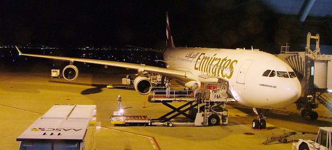 エミレーツ航空317便、JAL5099便の<br />共同航送便を利用します。