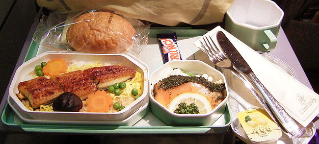 ウナギにサーモン。