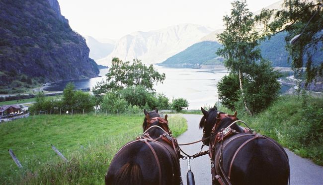 夜8時過ぎてもこの明るさ。船が行きかうこともなくなったフィヨルドは静か。
