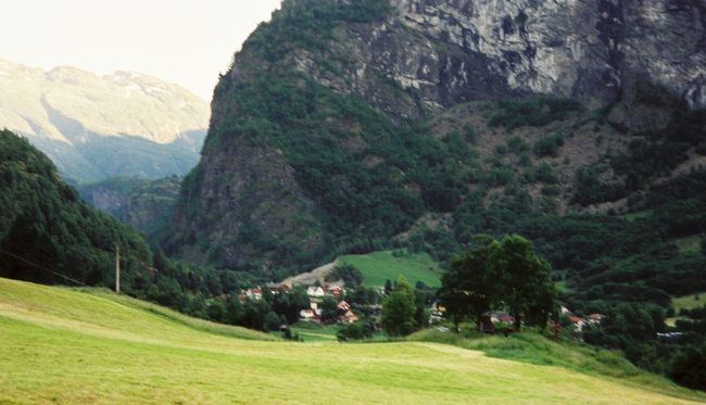 穏やかな農場の風景。