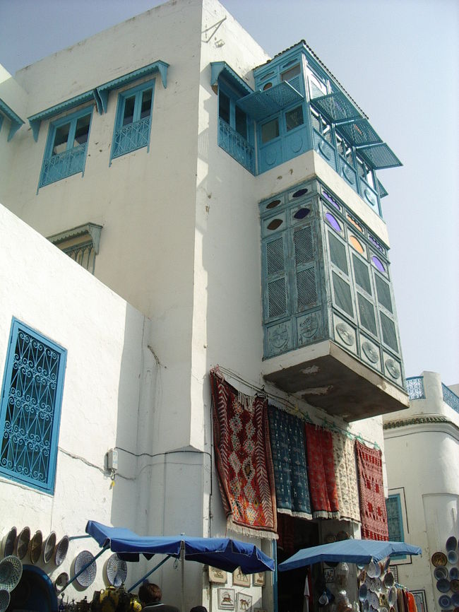 が、もうちょっとだけ続く、旅行記。今度はチュニスからイスタンブールへ飛び、それから日本なのです。<br />