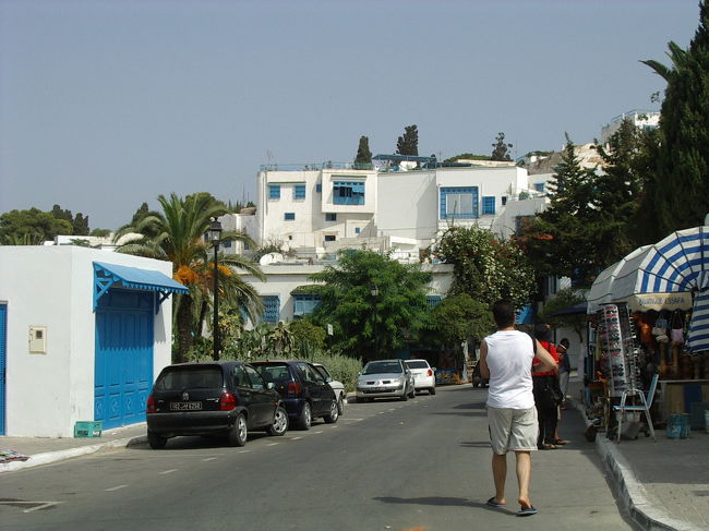 シディ・ブ・サイドを観光後に空港へ向かい、チュニスの空港でチェックイン。私たちが団体で並んでいるのに、横から割り込んでくる輩が居たので、皆のスーツケースでブロックして入れさせず。<br />