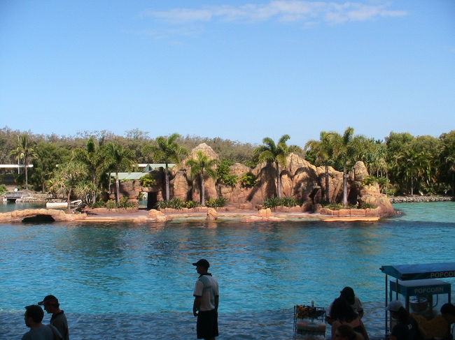 イルカショーもありました。ダイナミックでみごとでした。