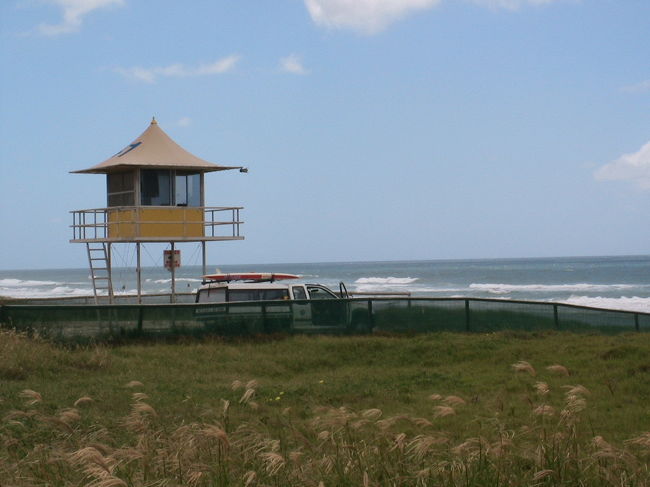 なんとなく絵になると思いませんか。