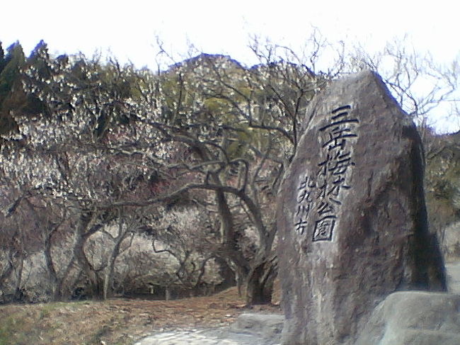 ２００７年 千代 の梅の花見 合馬 三岳梅林公園 の旅 小倉 北九州市中心部 福岡県 の旅行記 ブログ By だいちゃんさん フォートラベル