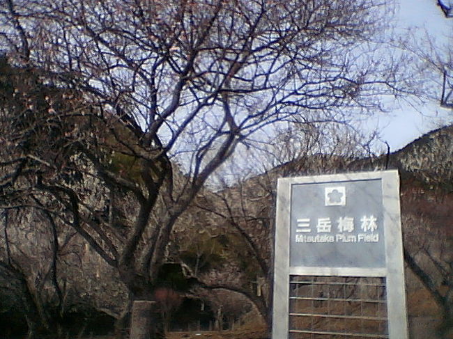 ２００７年 千代 の梅の花見 合馬 三岳梅林公園 の旅 小倉 北九州市中心部 福岡県 の旅行記 ブログ By だいちゃんさん フォートラベル