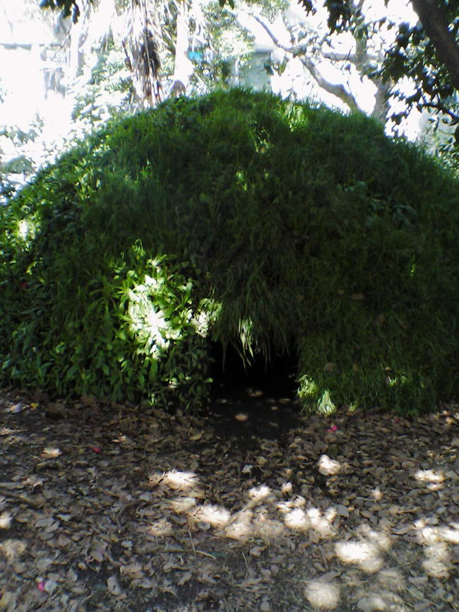 東京芸大の中にある山。<br />中にはなにがあるのでしょうか？<br />気になります。