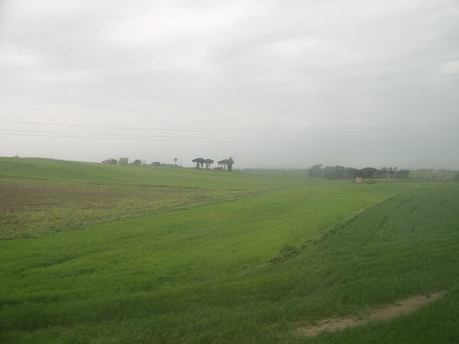 ナポリとローマの間はこんな緑の牧草地帯みたいな感じが続きました。。。。。。<br />今日はこれから５ヶ国目のオーストリアのウィーンへ移動です。<br />
