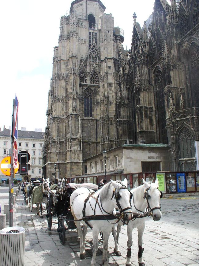 ウィーンではこんな光景が・・・・<br />本当に綺麗な街です。