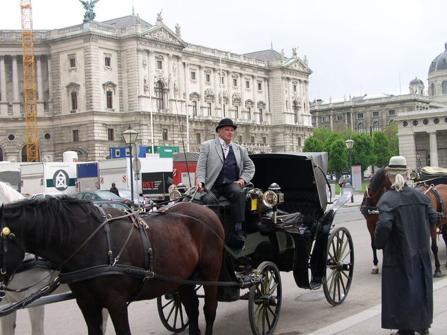 こんな感じで観光客を乗せる馬車が街を走ってました。