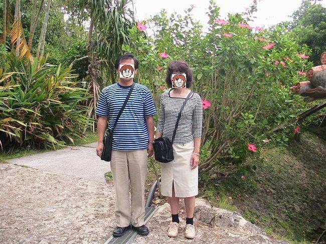 「ﾋﾞオスの丘」にも行きました。<br />ここには池があって、船で回ることができます。<br />1周30分くらいで、屋外で蘭の花を見ることができます。温室以外で蘭の花が見られるなんて初めて。