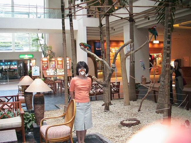 ホテルのロビーにはオウムがいました。<br />なんでかな？