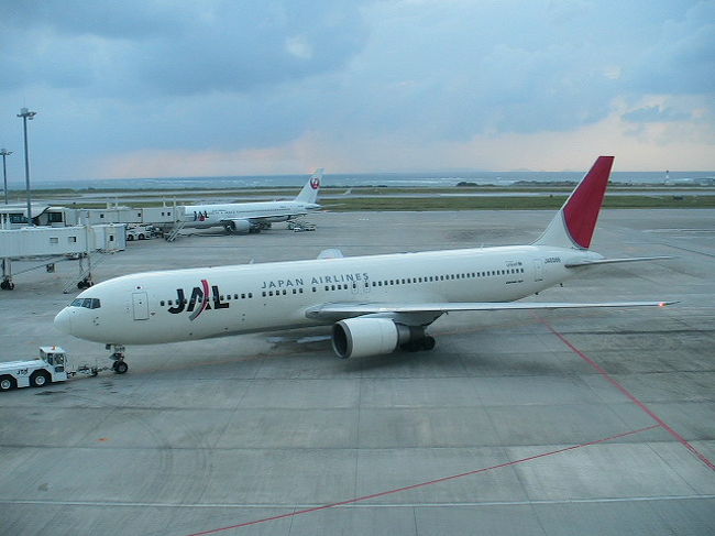 帰りの日、東京は台風真っ盛りということで、私たちが乗る予定だった便は欠航に。<br />すったもんだあった末に、運よく22時過ぎに羽田に到着できました。疲れた。<br />この時期沖縄に行くことは、台風があって当然と、そのつもりで行きましょう。