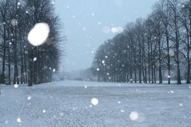 ヴィーゲラン公園　歩いてるのは私だけでした・・・