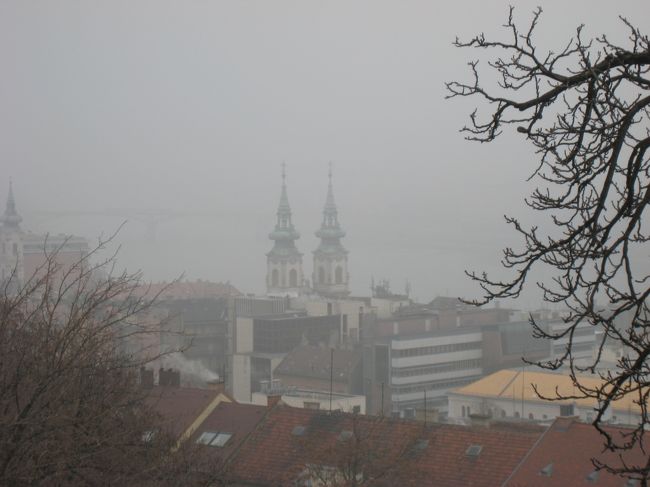 はっきり見えるのは、手前の枝だけ。建物の向こうはドナウ川。モヤで見えない。