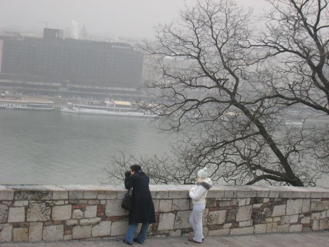 「ドナウの旅人」