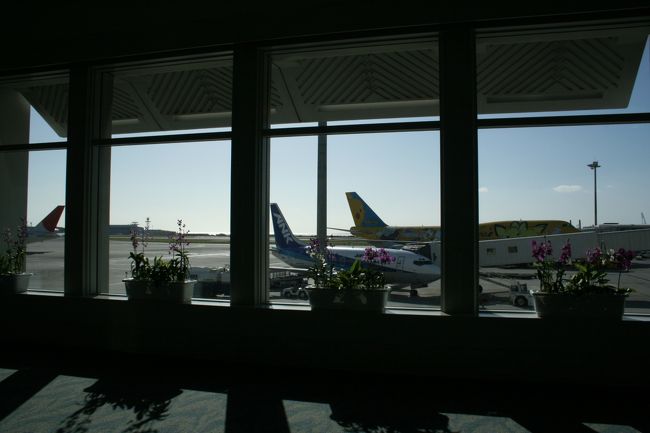 那覇空港国内線ターミナル到着。<br />さあ沖縄マラソンに向けて現地入りしました。<br />出発地セントレアは小春日和の強風。<br />那覇はポカポカ暖かくてとても良い天気。<br />レース本番も良い天気を期待。