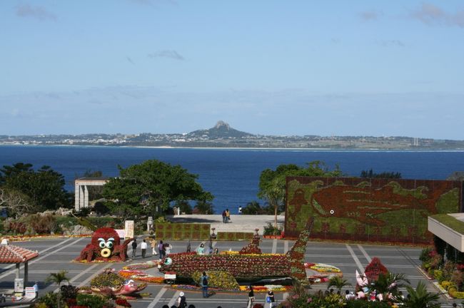 沖縄滞在最終日。<br />この日は念願のちゅら海水族館へ。<br />天気も快晴-半袖で過ごせました。<br />２月に半袖って...岐阜じゃ考えられない。