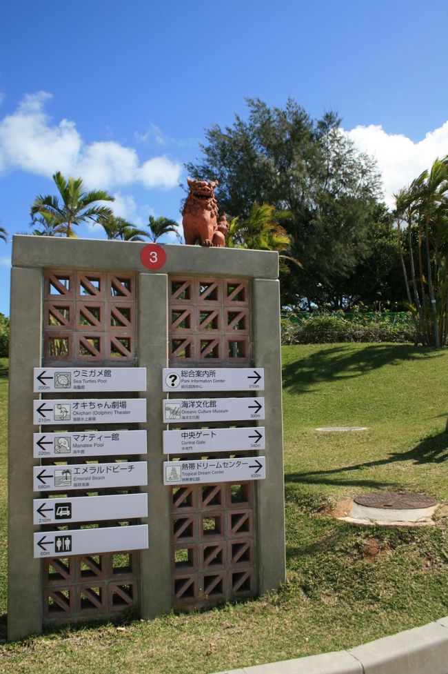 また来年の沖縄マラソンまで待っててね。