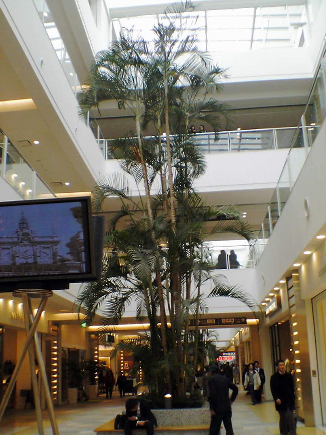 内はとっても明るいです。