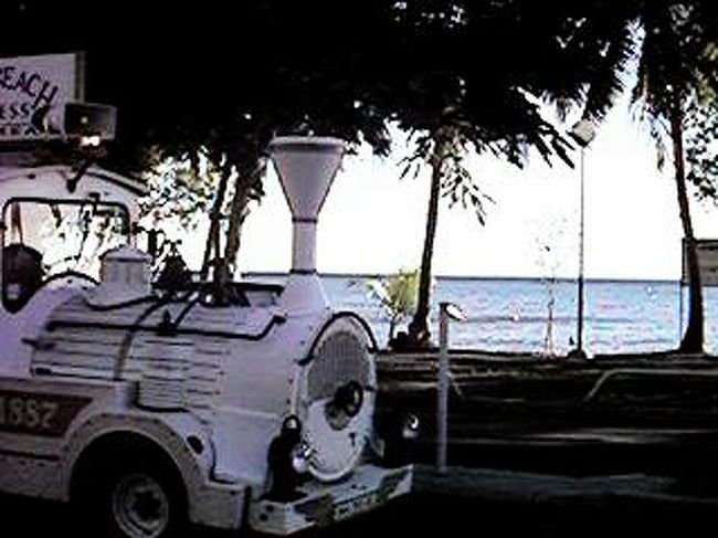 到着した日は、ダイビングの予定もなかったので、のんびりと市内へ！<br />ヌメア市内を走っているプチトレインです。<br />電気自動車の一種だそうで、エコです。